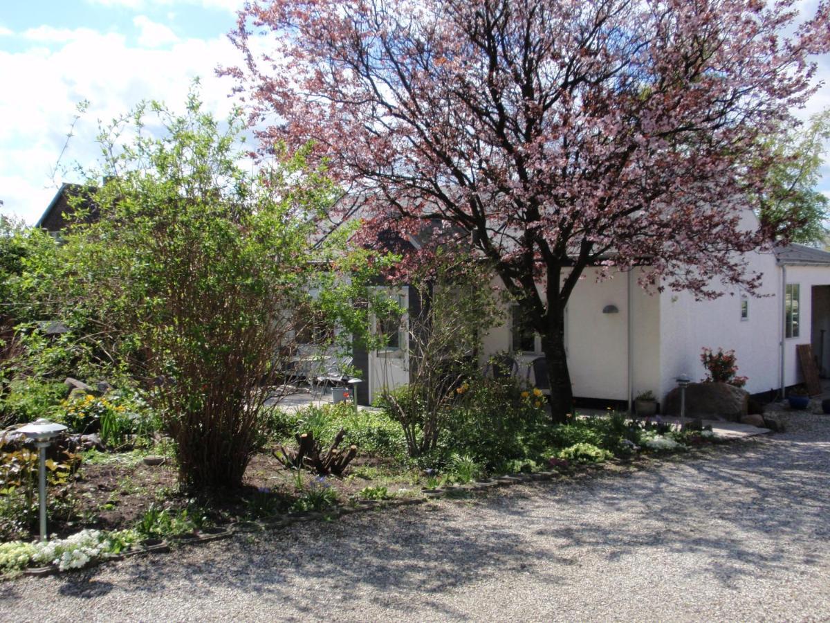 Beder Aarhus Syd Holiday Apartment מראה חיצוני תמונה